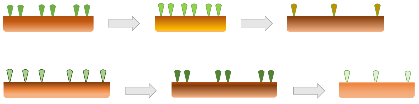 Different row/plant distances